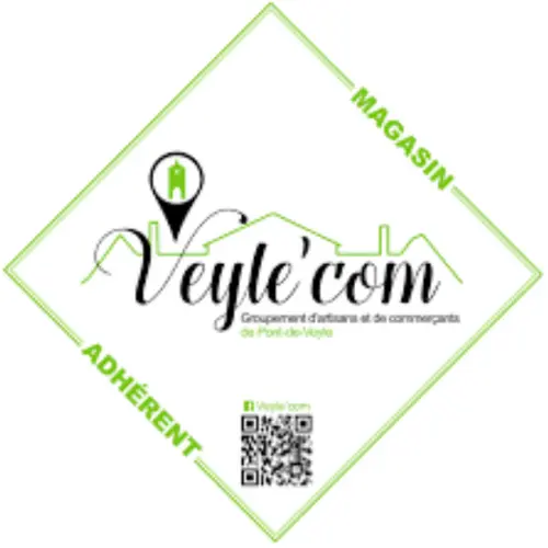 veyle-com-logo